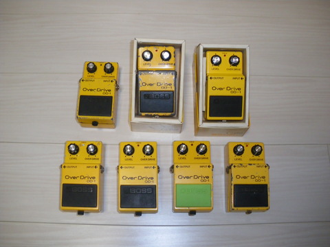 IMGP0929