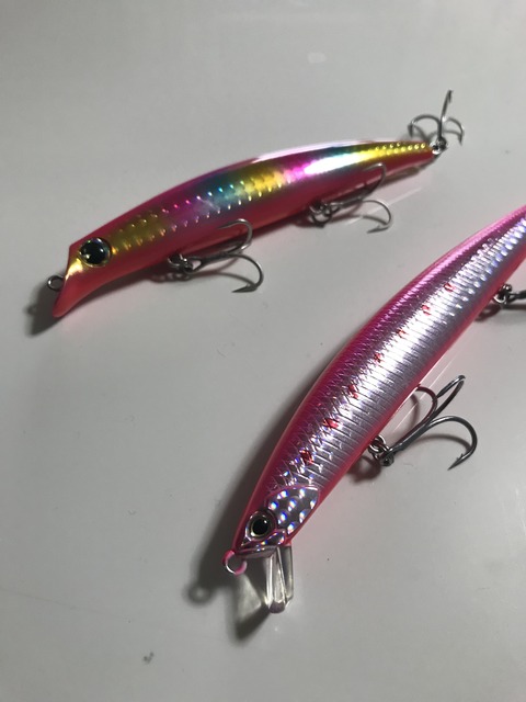 12〜14センチクラスのシンキングミノー : 特攻隊長さんの釣行記