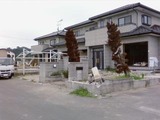 画像-0009