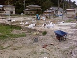 画像-0029