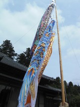 CIMG0209