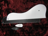 pickguitar parts