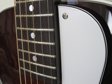 pickguitar1