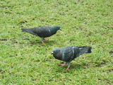 DSCF9989