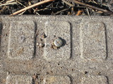CIMG5477
