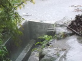 DSCF0853