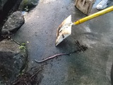 DSCF0855
