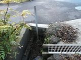 DSCF0854