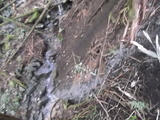 DSCF0868