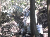 DSCF0865