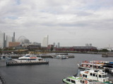 CIMG5593