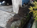 DSCF0857