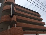 ¼Ì¿¿£¸