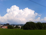 c8d5d37d.jpg