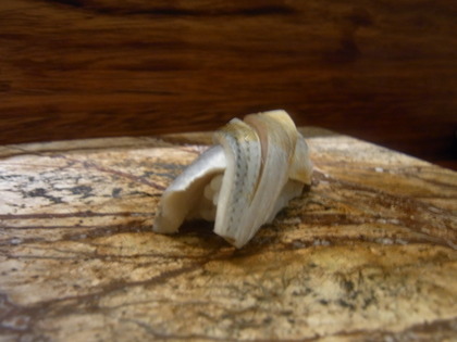 RIMG0665