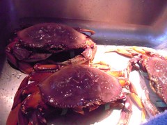 DSCN1024