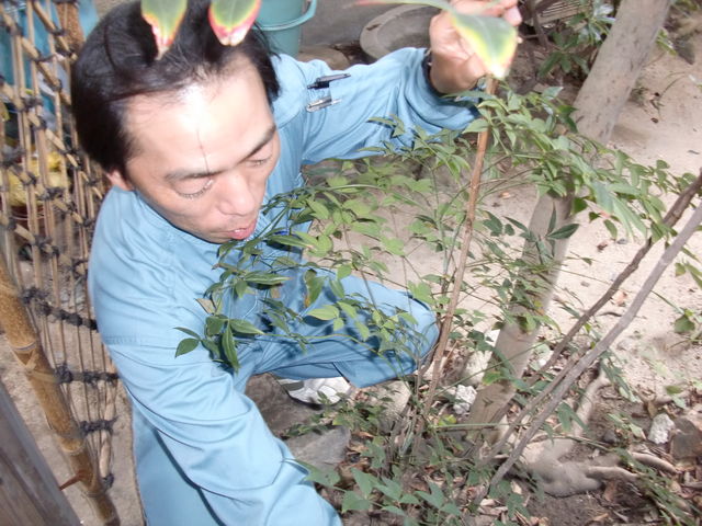 CIMG2647