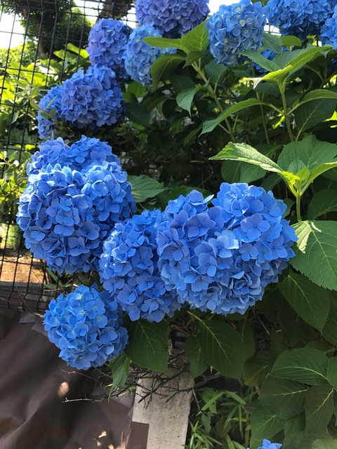 2017-06-15-13-56-52