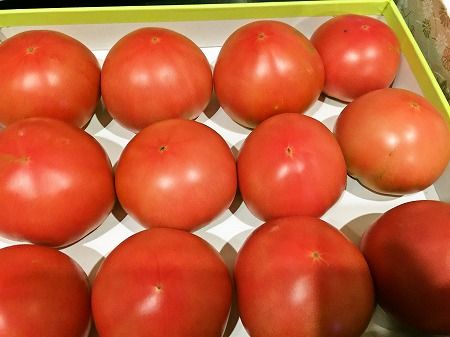 foodpic7035258