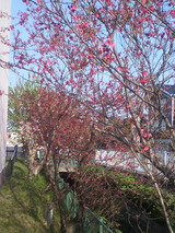 P1000703