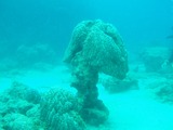 P3100016
