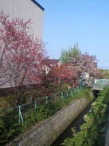 P1000704