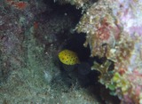P3100011