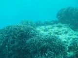 P3100007