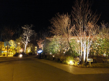 梅の花町田店