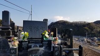 2019-03-17 07.54.07-1