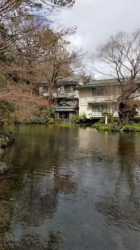 2019-03-21 11.27.39