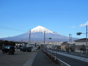 IMG_1217