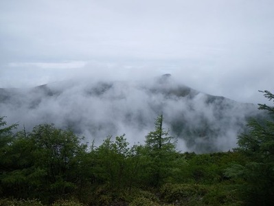 IMGP4413