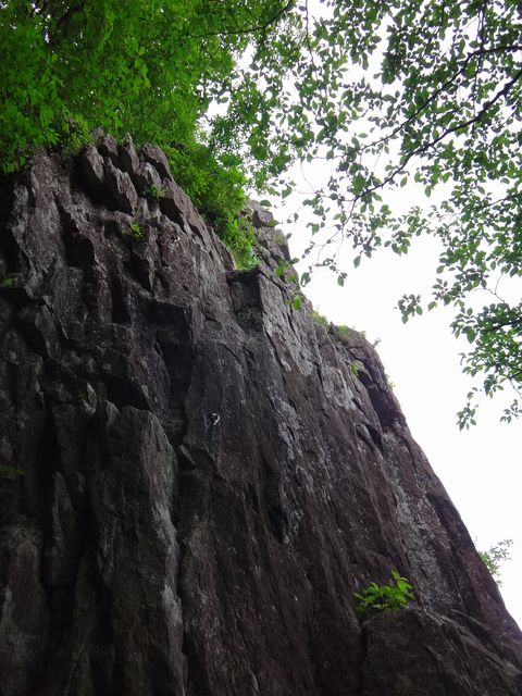 DSC05580