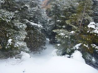 21-P1060706