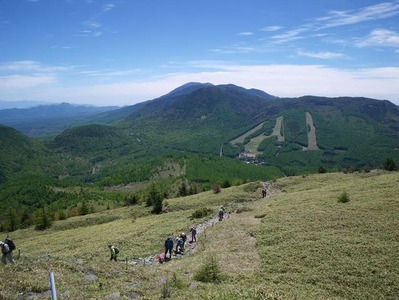 IMGP4318