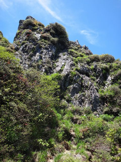 DSC05605