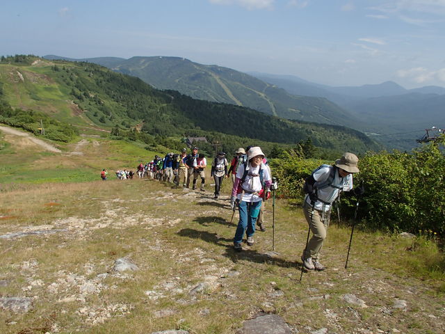 P8050003