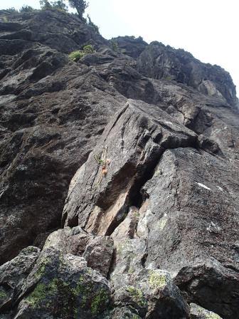 107-P8121008