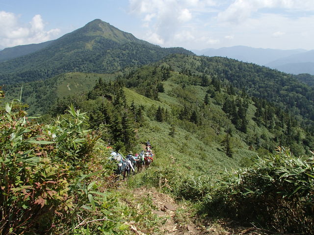 P8050006