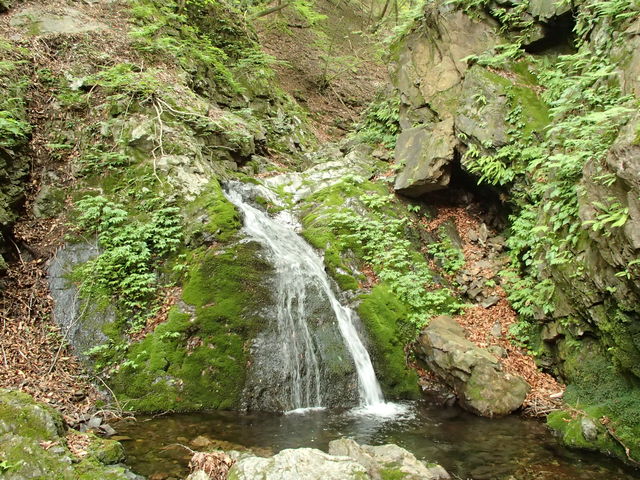 0051 Âì