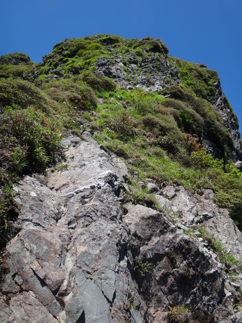 DSC05604
