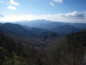ryu6