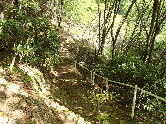0028 登山道