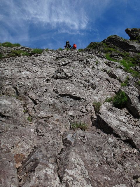 DSC05594