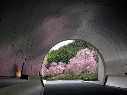 ｍｉｈｏミュージアムの桜 月下逍遥 袖触れ合うも他生の縁