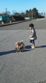20120325075519