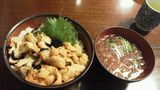 20120403120433