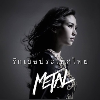 MetalRakTer