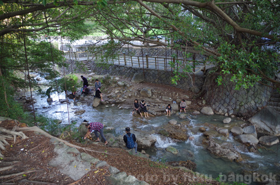 IMGP0737